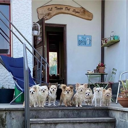B&B Il Tempo Del Sogno Con Cani E Gatti Pet&Breakfast Baveno Exterior foto
