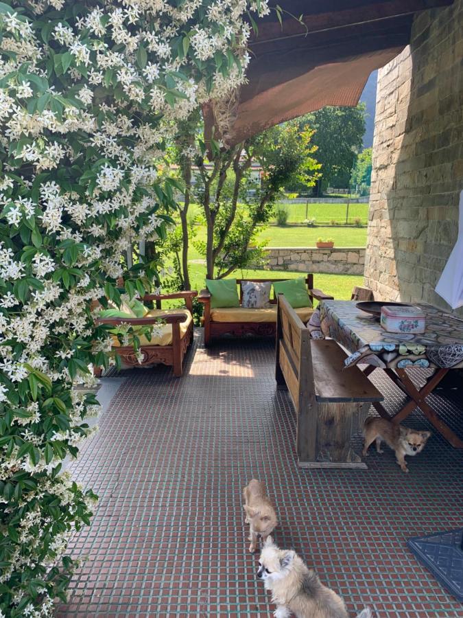 B&B Il Tempo Del Sogno Con Cani E Gatti Pet&Breakfast Baveno Exterior foto