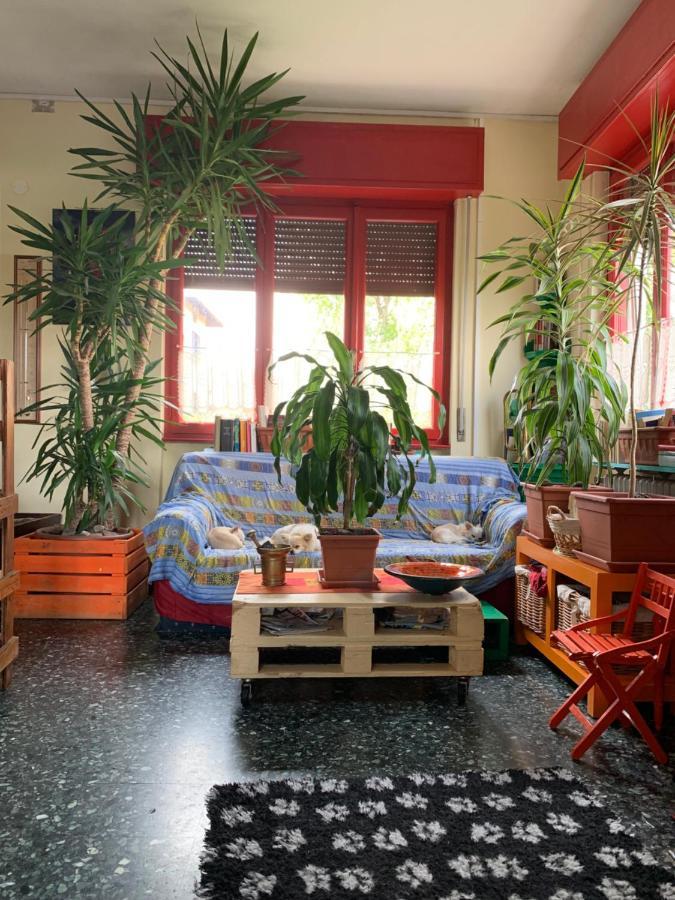 B&B Il Tempo Del Sogno Con Cani E Gatti Pet&Breakfast Baveno Exterior foto
