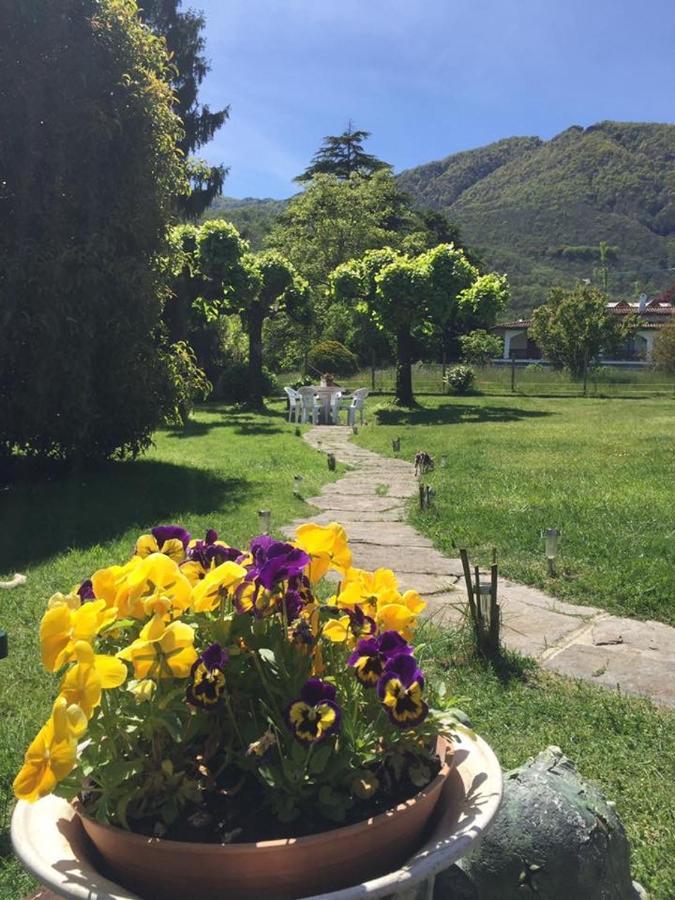 B&B Il Tempo Del Sogno Con Cani E Gatti Pet&Breakfast Baveno Exterior foto